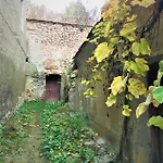 White Wolf * Brasov