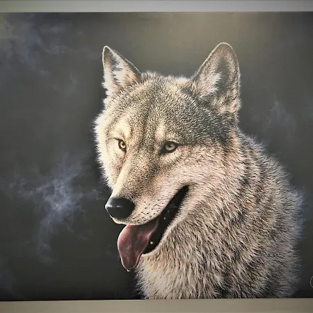 Apartment White Wolf
