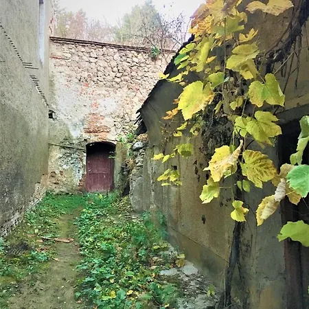 White Wolf * Braşov