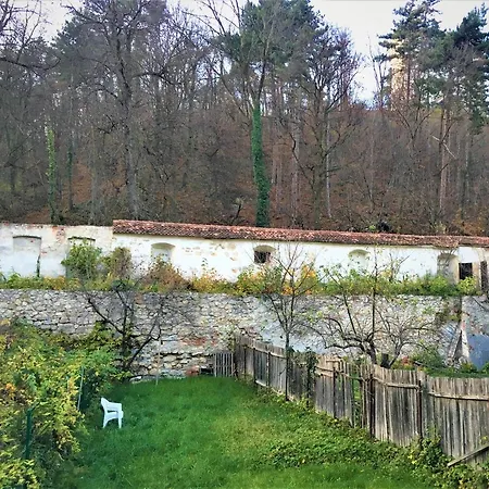 White Wolf Apartamento Braşov