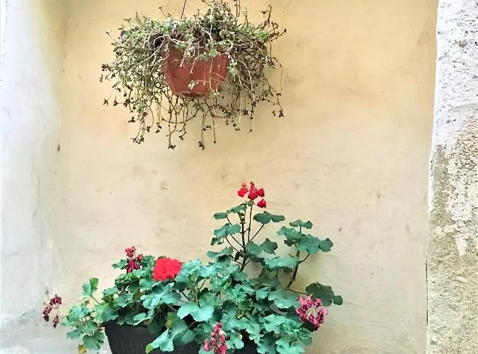 Apartamento White Wolf