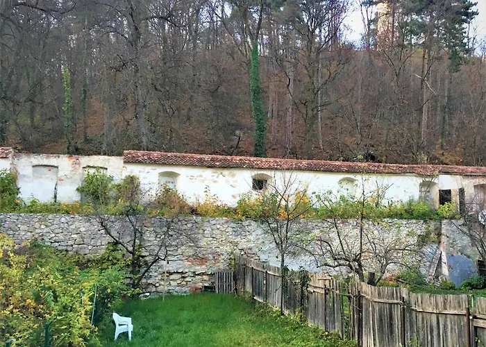 White Wolf Apartamento Braşov